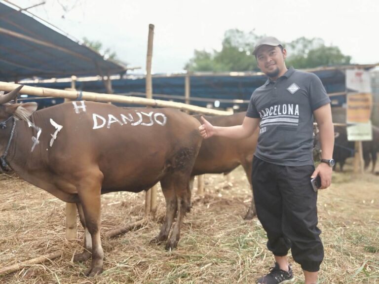 Pembeli-Sapi-Bali-SapiSapi-1.jpeg