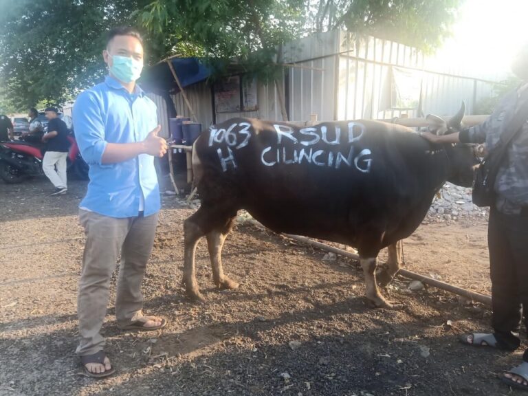 Pembeli-Sapi-Bali-SapiSapi-3.jpeg